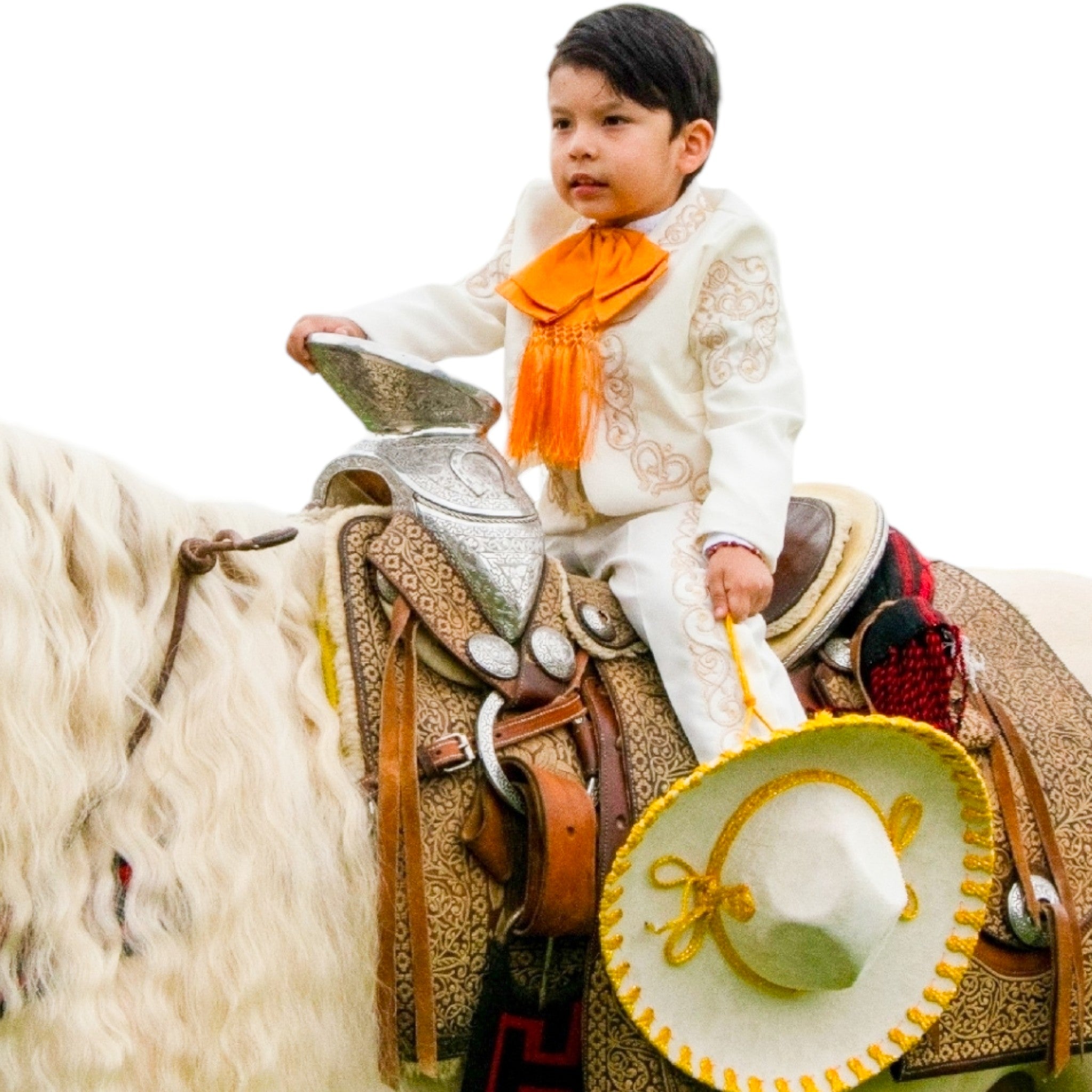 Traje Charro Tafetan